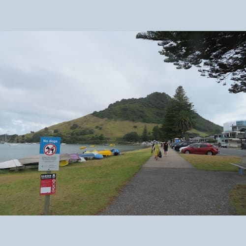 タウランガのマウンガヌイ山(標高232m)
