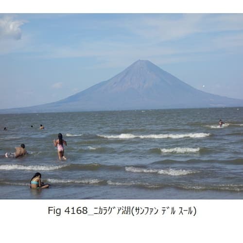 フォトギャラリー