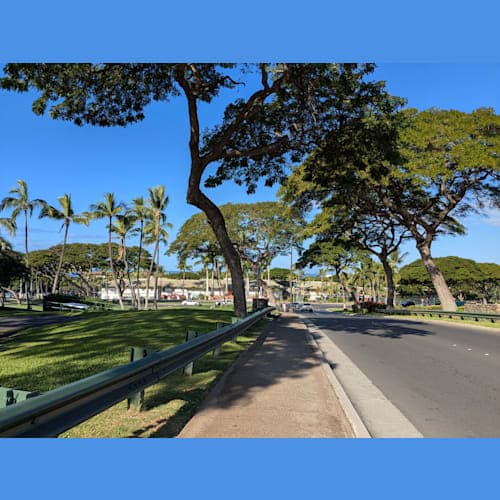 フォトギャラリー