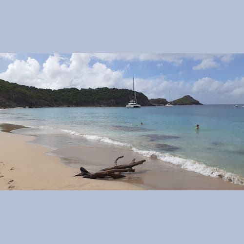 サンバルテルミー島コロンビエ・ビーチ ここへはボートで行くか、トレイルをハイキングするしかない。