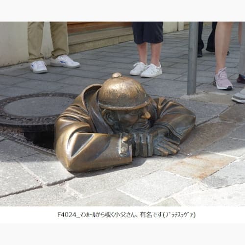 フォトギャラリー