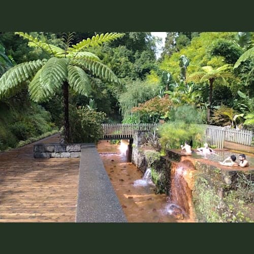 ポルトガル自治領アゾレス諸島のサンミゲル島
下船後、港で客待ちしているタクシーにお願いし、4~5時間の島内観光へ。温泉があるということで、その町(村?)にある雑貨店で水着を急遽購入し、スパリゾートへGo!