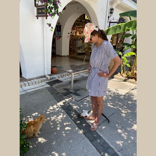 フォトギャラリー