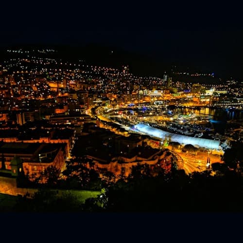 フォトギャラリー