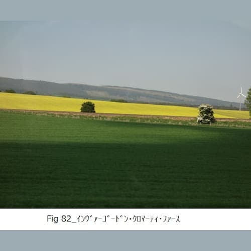 フォトギャラリー