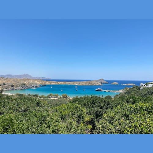 フォトギャラリー