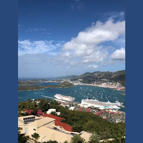 St. Thomas島のSkyRide to Paradise Point
ロープウェー降り場付近からの眺望
下に見えるのはもちろん私たちのクルーズ船です