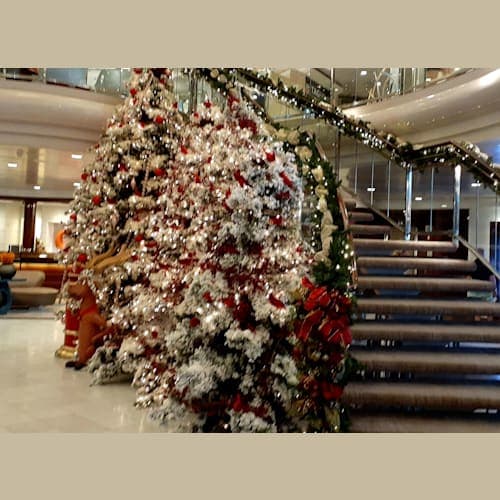 フォトギャラリー