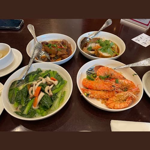 フォトギャラリー