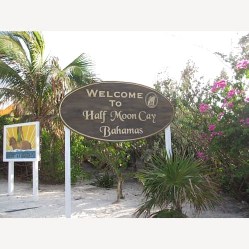 フォトギャラリー