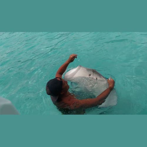 ビーチでは、エイや魚が見られる。このツアーではシュノーケルとかを貸してくれるが、自前のを持って来ればよかった。
エイは人に慣れていて、触ることも可能。