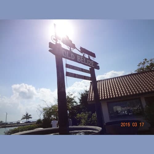 フォトギャラリー