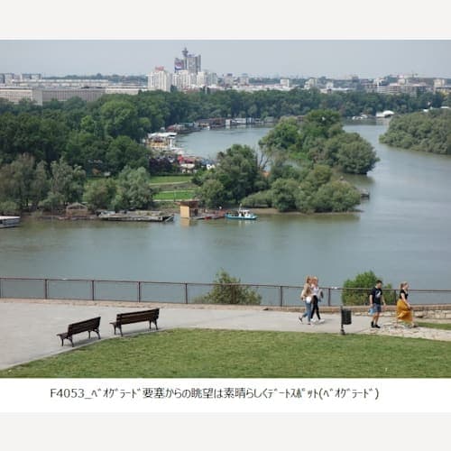 フォトギャラリー