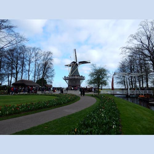 Day7#アムステルダム#キューケンホフ公園#風車と跳ね橋