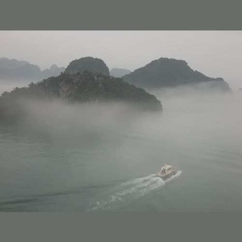 フォトギャラリー