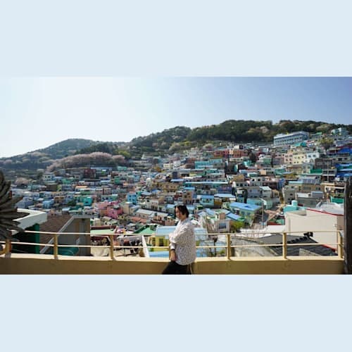 フォトギャラリー