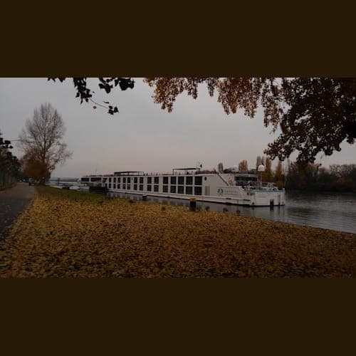 #クリスタル・ドビュッシー#リューデスハイム