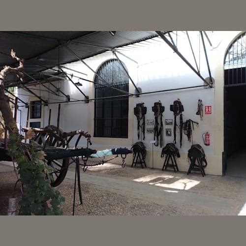 カディス寄港時にオプショナルツアーで訪れたへレスにあるシェリー酒醸造所のひとつTio Pepe(Gonzalez Byass社)