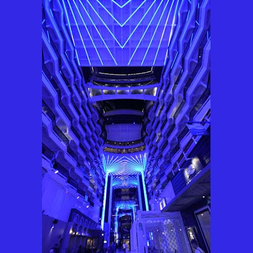 フォトギャラリー