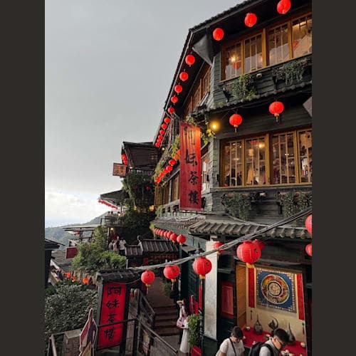 フォトギャラリー