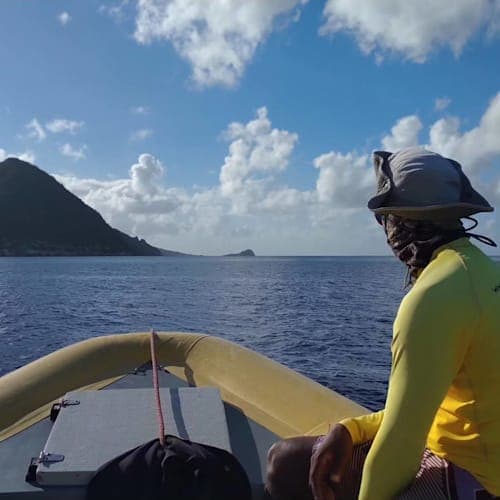 フォトギャラリー