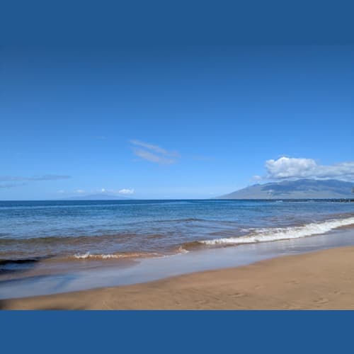 フォトギャラリー