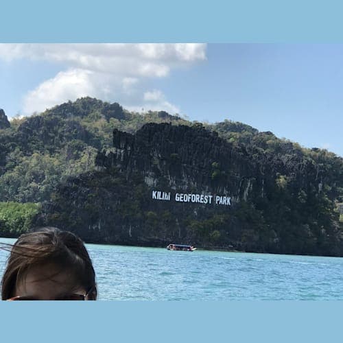 フォトギャラリー