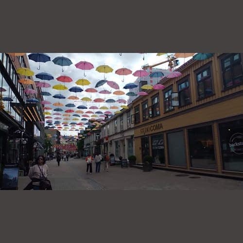 フォトギャラリー