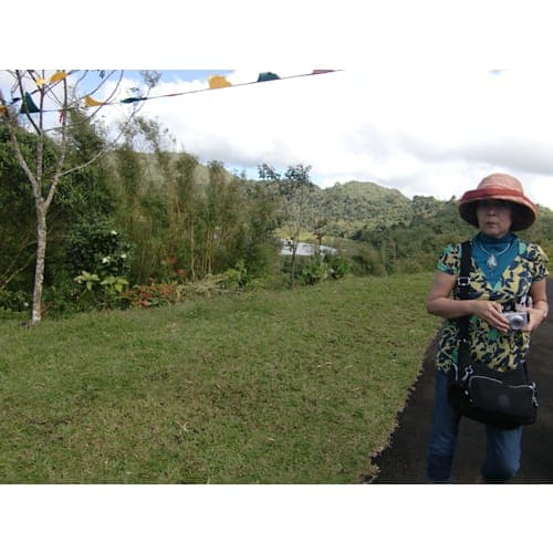 グレナダの街角 旅共さん