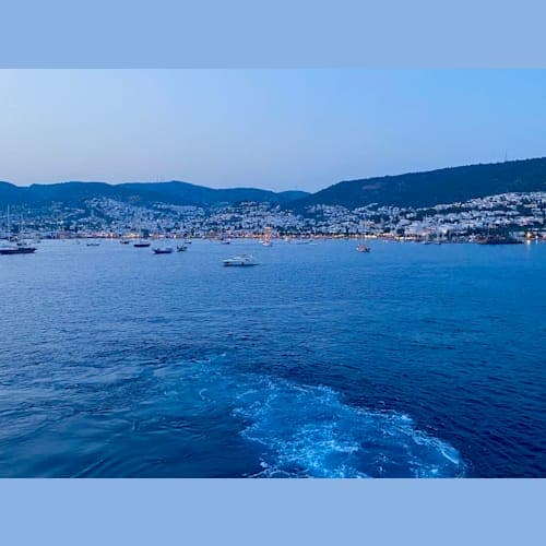 フォトギャラリー