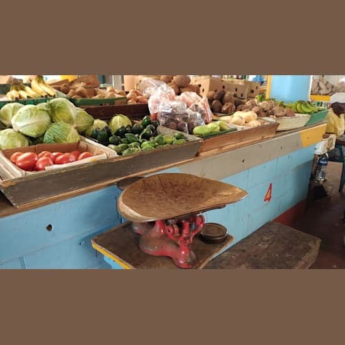 フォトギャラリー