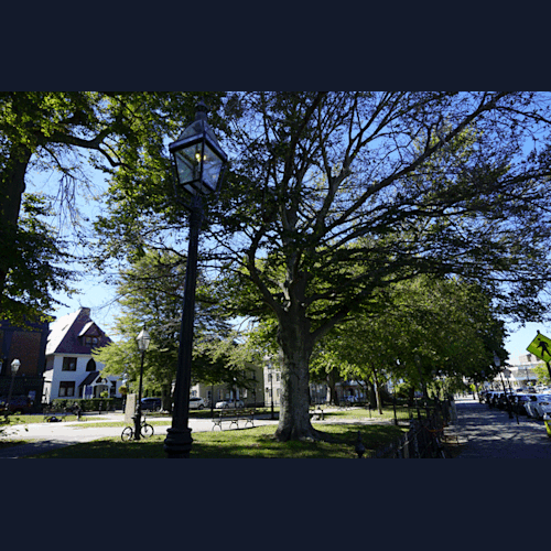 寄港地「ニューポート」10月初旬だったためか紅葉はナシ