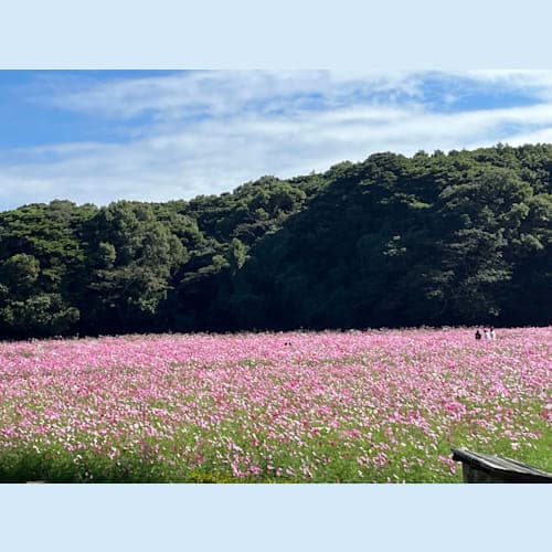 フォトギャラリー