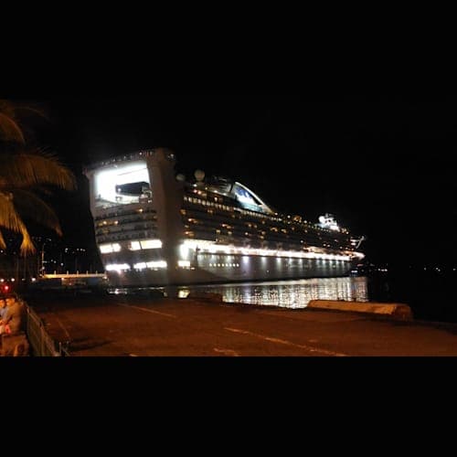 夜の港にゴールデンプリンセスが映える。