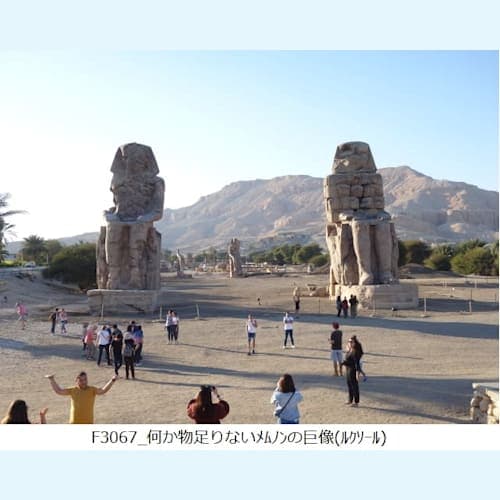 フォトギャラリー