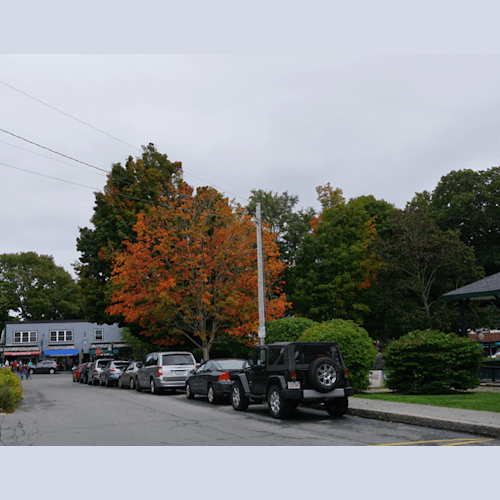 寄港地「セントジョン」では紅葉がちらほら