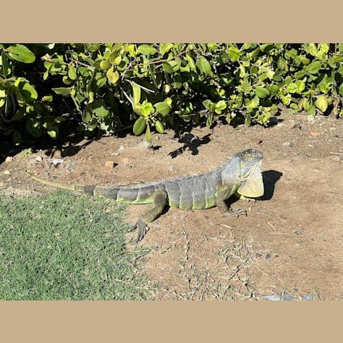 フォトギャラリー