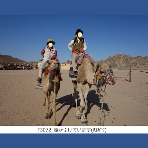 フォトギャラリー