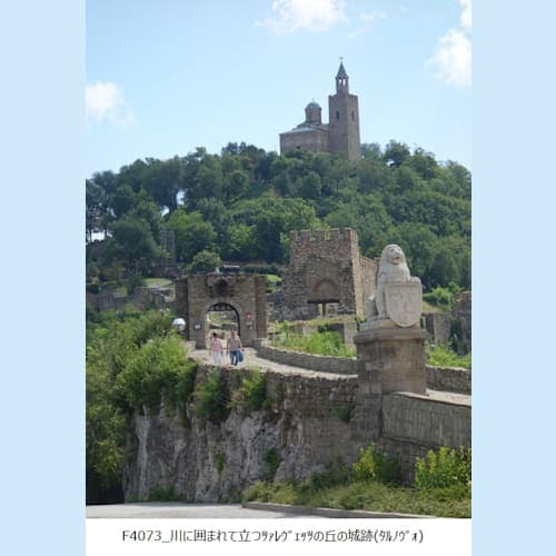 フォトギャラリー