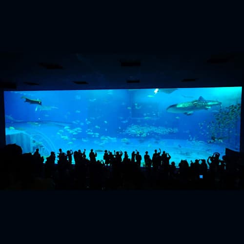 美ら海水族館