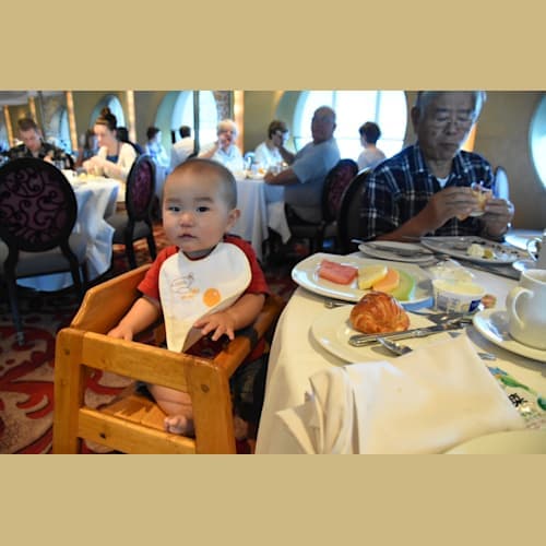 フォトギャラリー