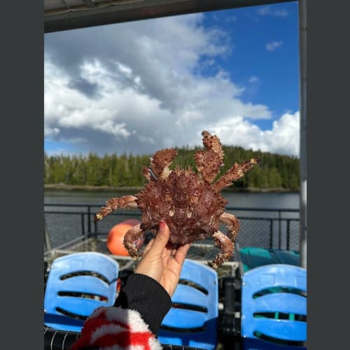 カニとかナマコとかウニとか触りまくる。