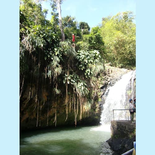 フォトギャラリー