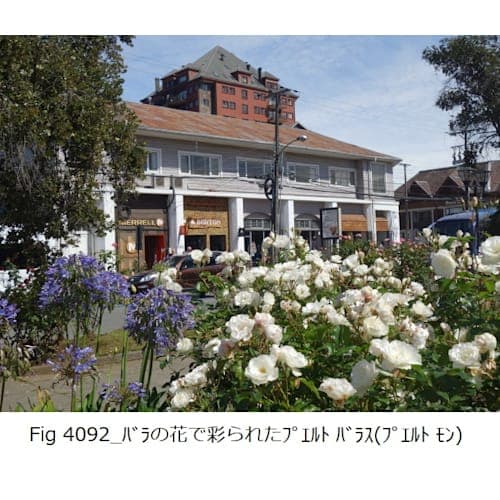 フォトギャラリー