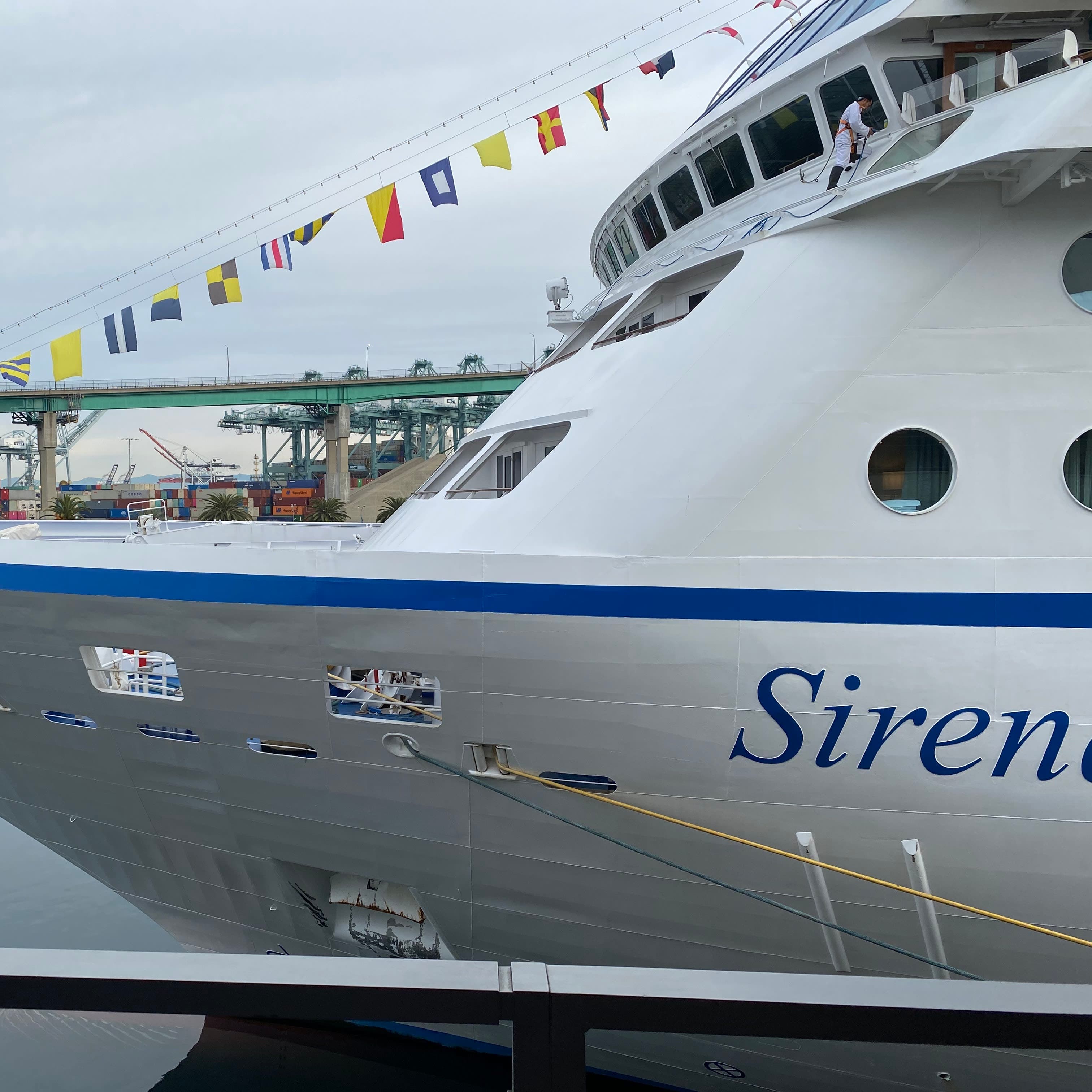 クルーズがやめられない